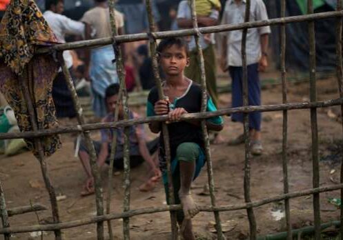 rohingya